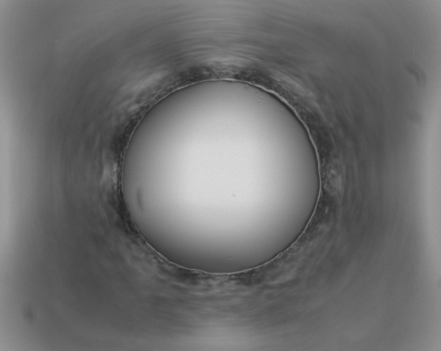 X0000113011061200909101813