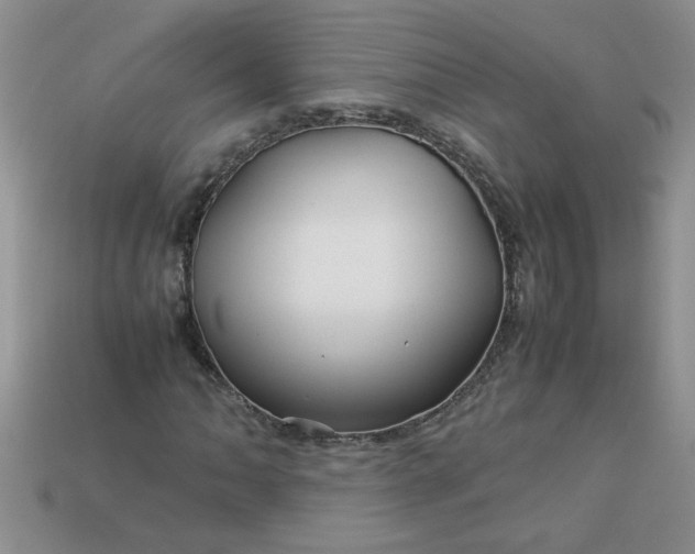 X0000113011062200909101813