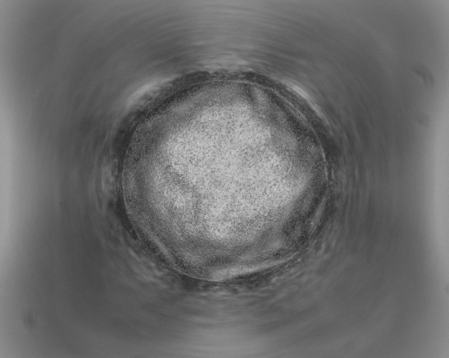 X0000113011063200909101813