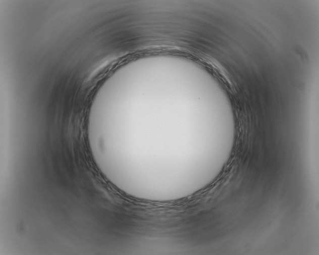 X0000113011064200909101813