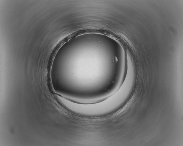 X0000113011065200909101813