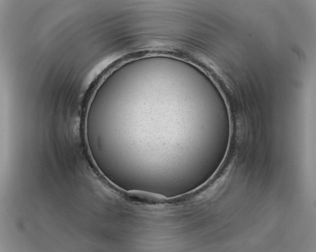 X0000113011066200909101813