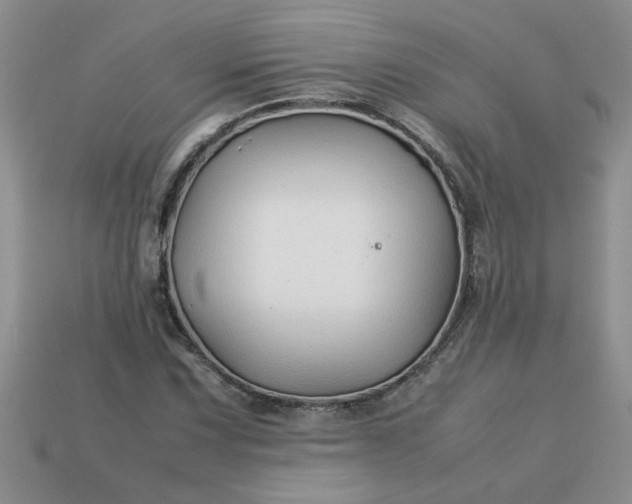 X0000113011067200909101813