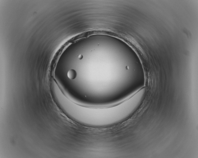 X0000113011068200909101813