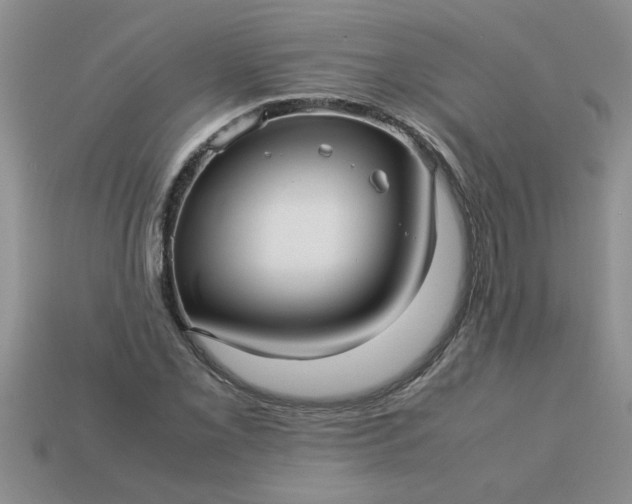 X0000113011069200909101813