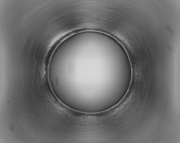 X0000113011070200909101813