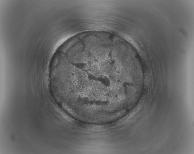 X0000113011071200909101813