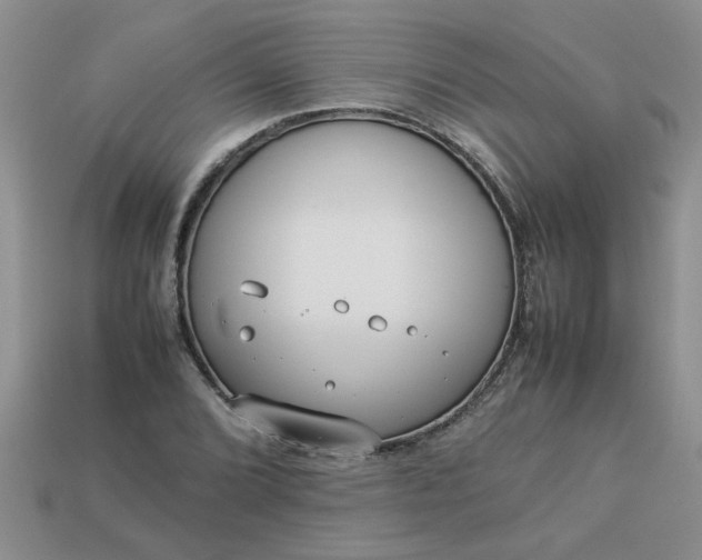 X0000113011072200909101813