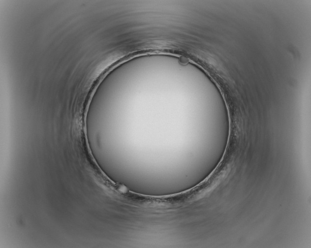 X0000113011073200909101813