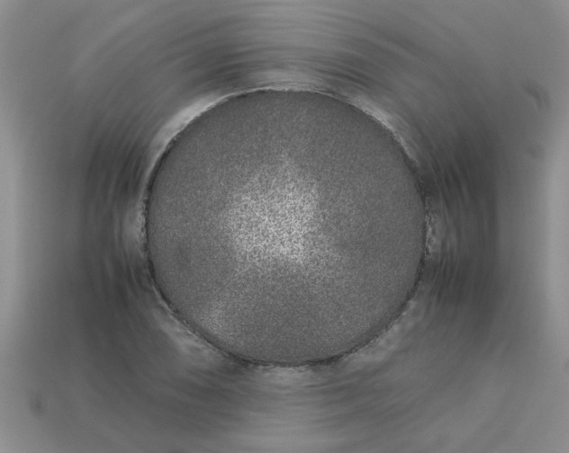 X0000113011074200909101813