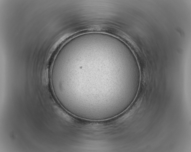 X0000113011075200909101813