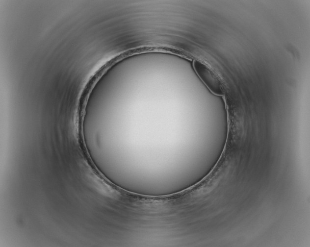 X0000113011076200909101812