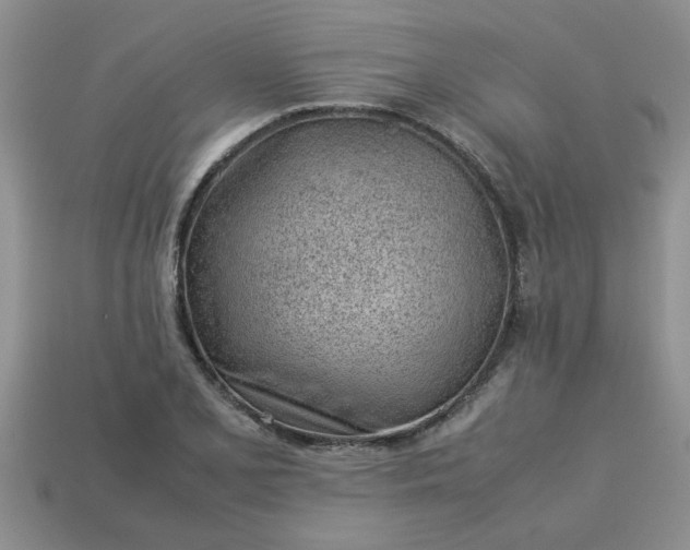 X0000113011077200909101812