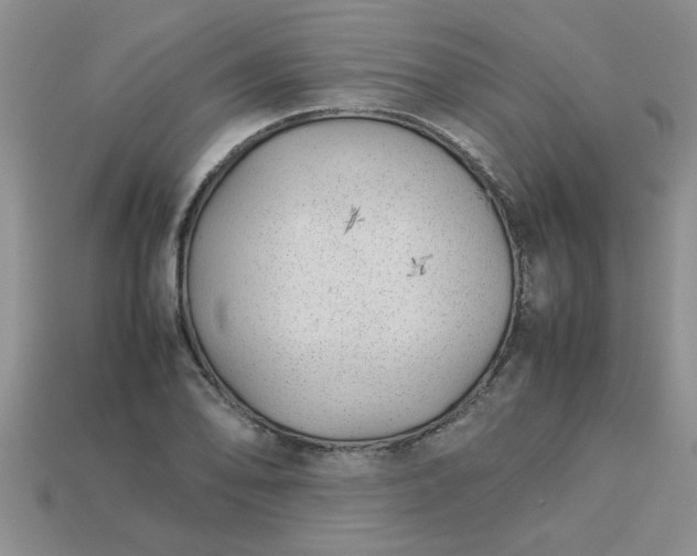 X0000113011078200909101812