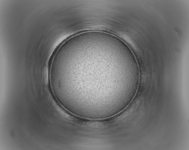 X0000113011079200909101812