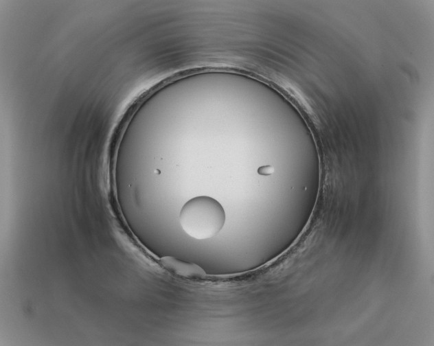 X0000113011080200909101812