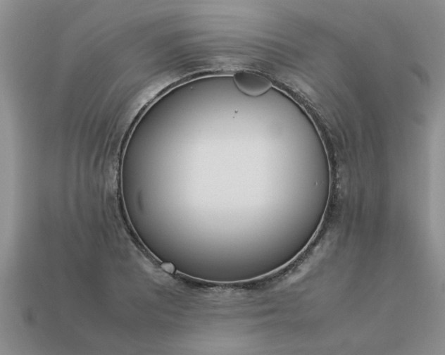 X0000113011081200909101812