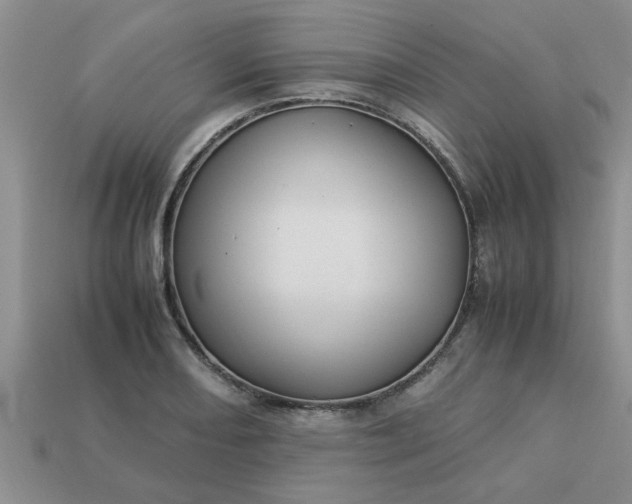 X0000113011082200909101812