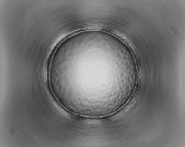 X0000113011083200909101812