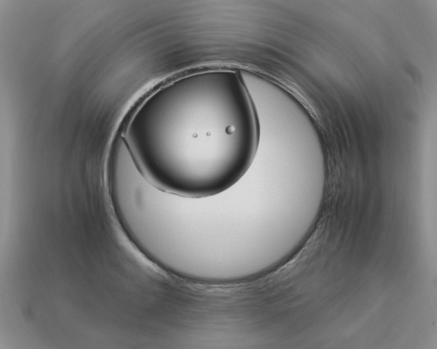 X0000113011084200909101812