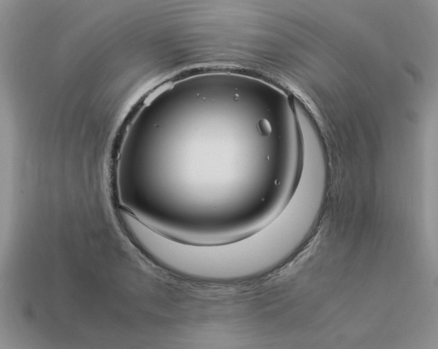 X0000113011085200909101812