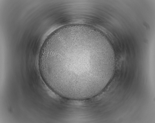 X0000113011086200909101812