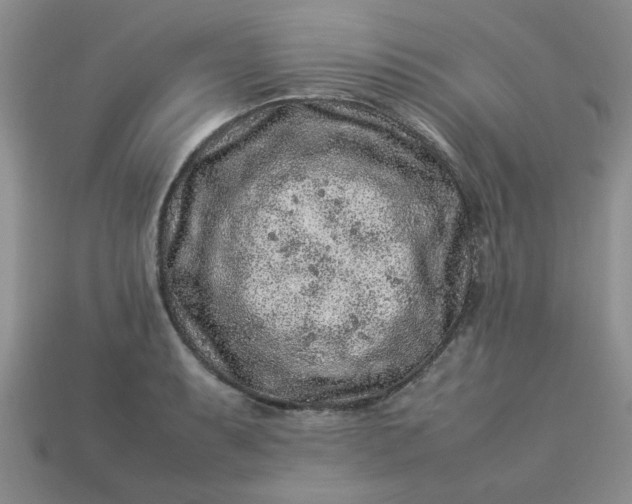 X0000113011087200909101812