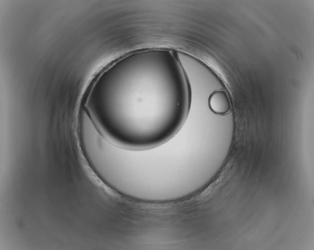 X0000113011088200909101812