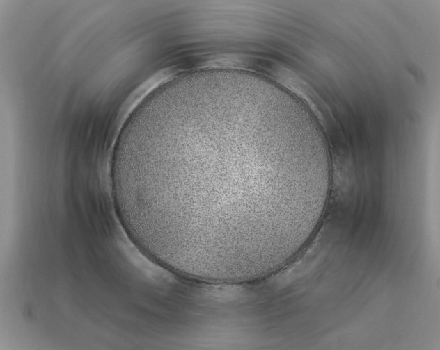 X0000113011090200909101812