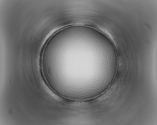 X0000113011091200909101812