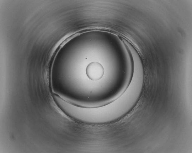 X0000113011092200909101812