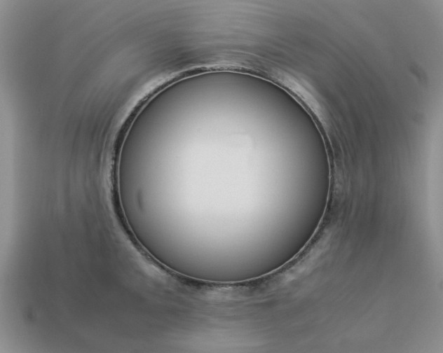 X0000113011093200909101812