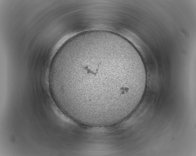 X0000113011094200909101812