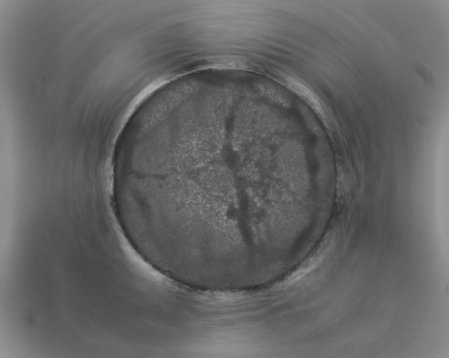 X0000113011095200909101812