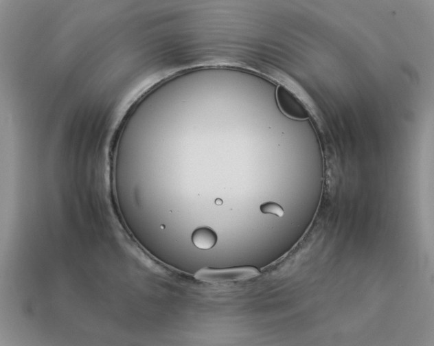 X0000113011096200909101812