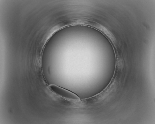 X0000113011097200909101812