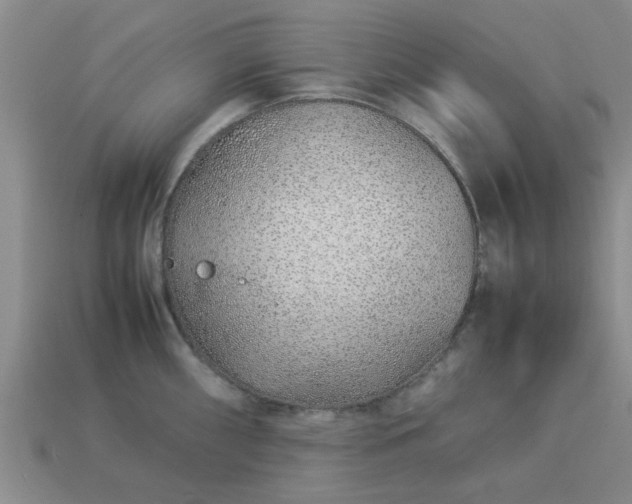 X0000113011098200909101812