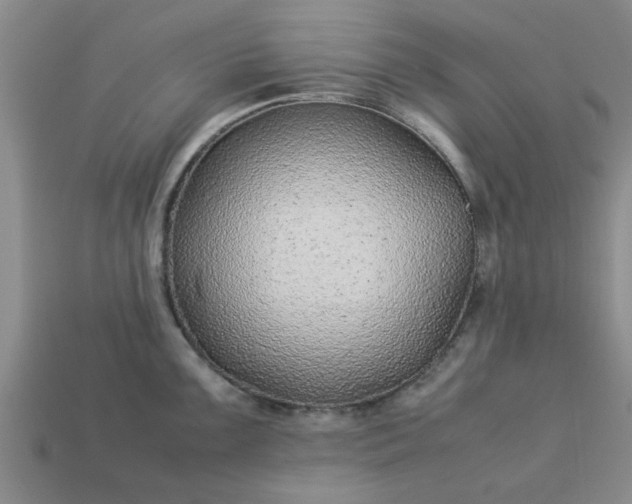 X0000113011099200909101812