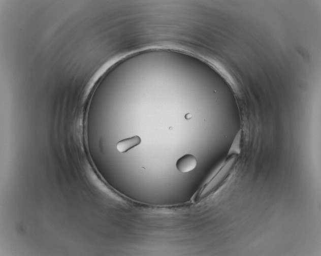 X0000113011100200909101812