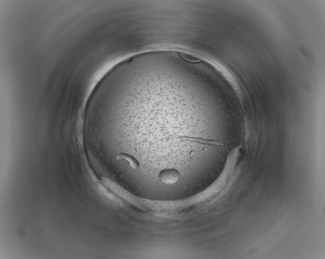 X0000113011102200909101812