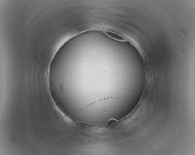 X0000113011103200909101812