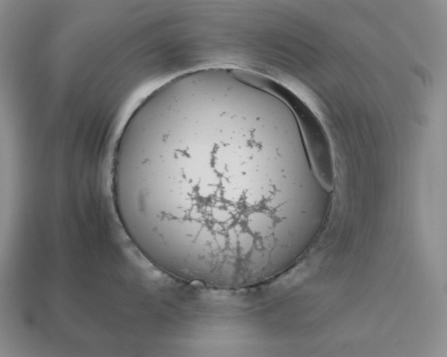 X0000113011104200909101812