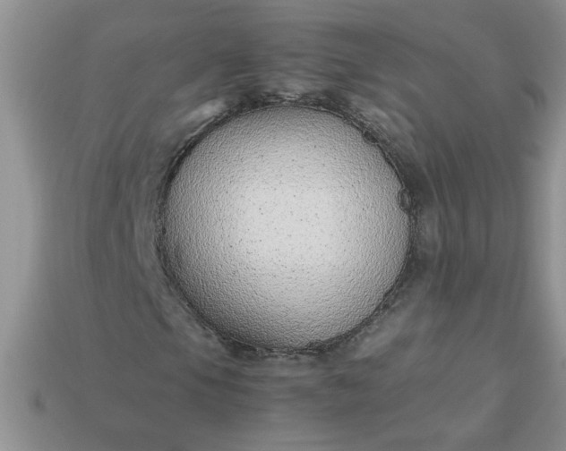 X0000113011105200909101812