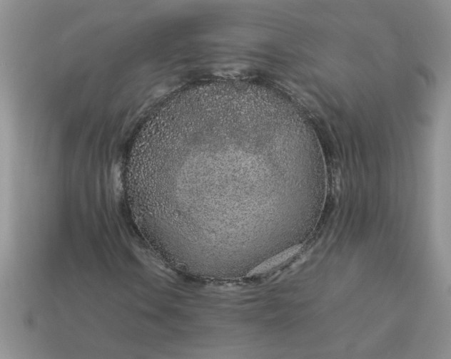 X0000113011106200909101812