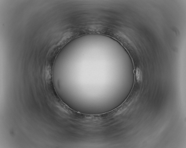 X0000113011107200909101812