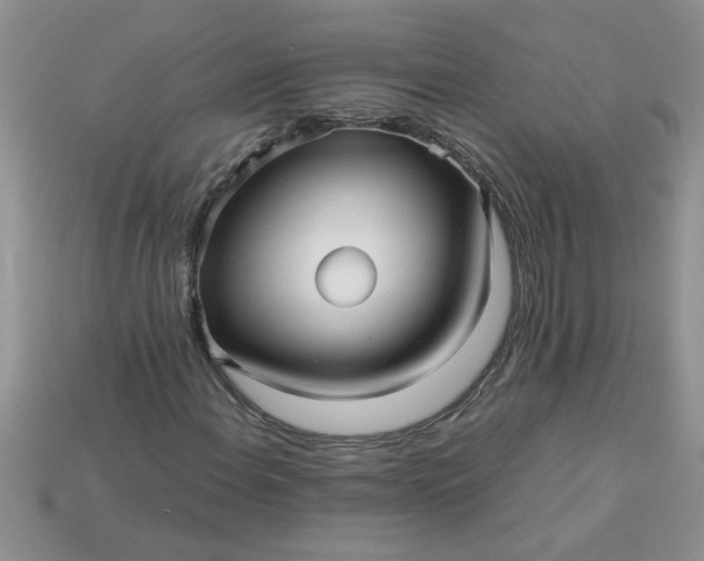 X0000113011108200909101812