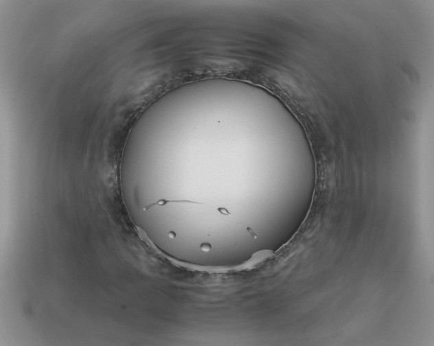 X0000113011109200909101812