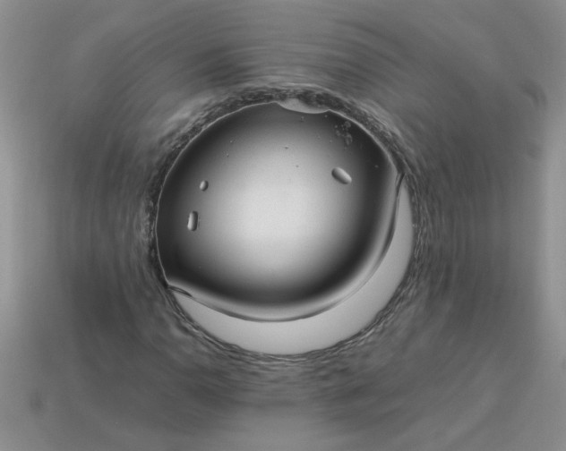 X0000113011110200909101812