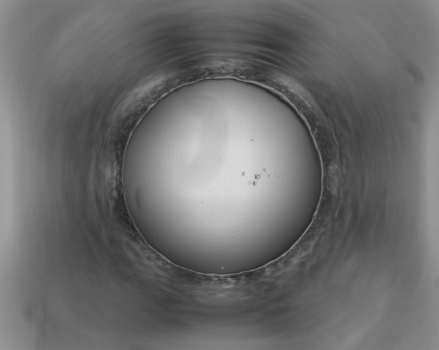 X0000113011111200909101812