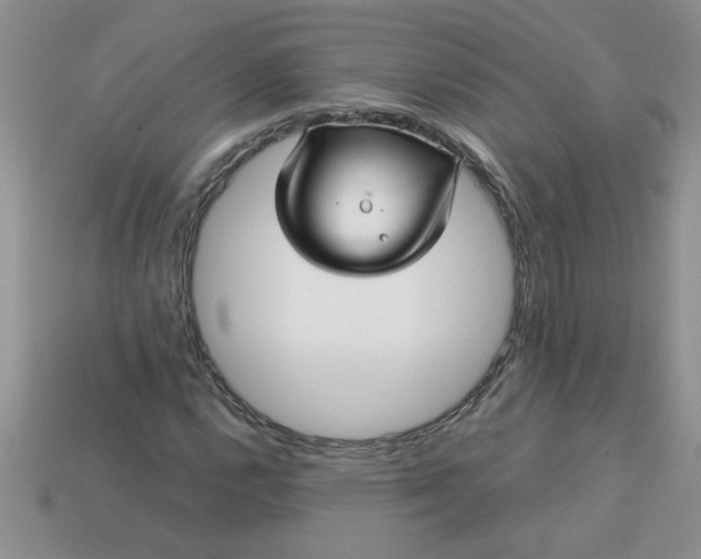 X0000113011112200909101812